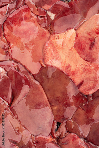 Raw chicken liver isolated on white background. Meat.	
