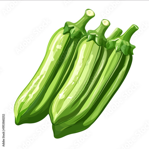 simple vector okra clipart illustration white background vector art style simple design flat illustration no shadows