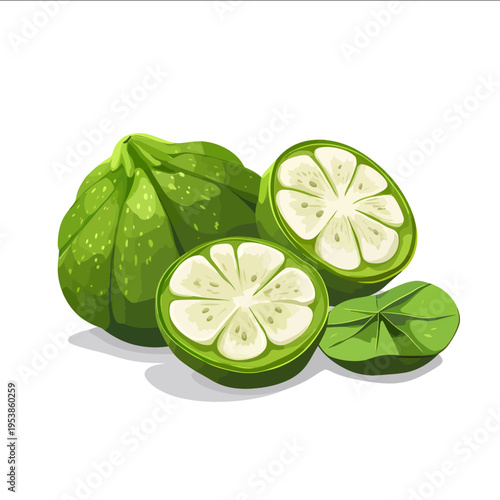 simple vector water chestnut clipart illustration white background vector art style simple design flat illustration no shadows