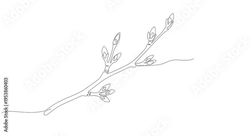 Delicate Branch with Budding Leaves, Minimalist Line Art Illustration