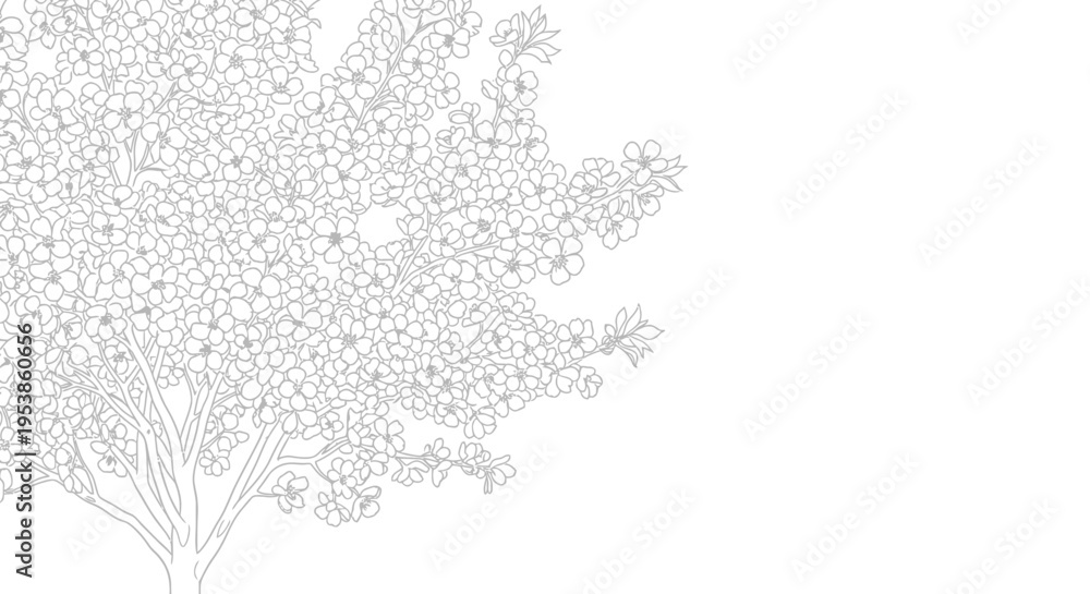 Obraz premium Delicate Cherry Blossom Tree Outline Drawing, Minimalist Spring Nature Illustration