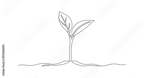 Minimalist single line drawing of a young plant sprout growing from soil
