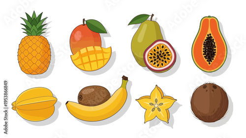 Assorted Tropical Fruits Collection: Pineapple, Mango, Papaya, Banana, Coconut, Starfruit, Kiwi, Passion Fruit