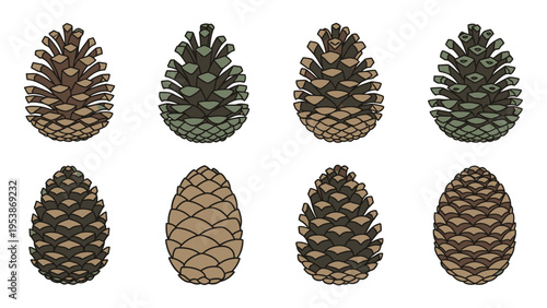Collection of Pine Cones: Various Shapes and Colors