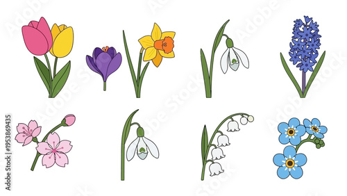 Collection of Spring Flowers: Tulips, Daffodils, Hyacinth, Crocus, Cherry Blossoms, Snowdrops, Lily of the Valley, Forget-Me-Nots