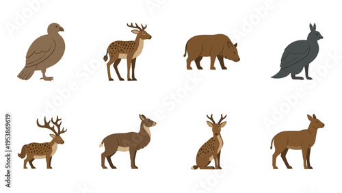 Collection of Wild Animals and Birds in Flat Design Style