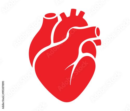 A bold red anatomical illustration of the human heart with visible chambers and valves.