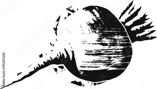 Black and white illustration of a bulb onion with roots and shoots growing