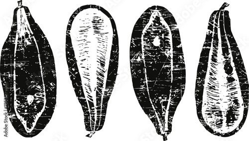 Vintage botanical illustration of four different leaves in black and white