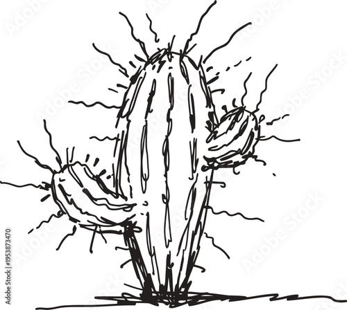 Sketch of a tall cactus with two arms and spines, desert plant drawing in black lines