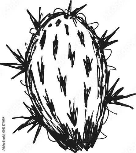 Black ink sketch of a prickly cactus fruit with thorns and textured surface