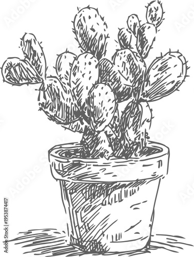 Hand drawn cactus plant in pot sketch succulent desert houseplant illustration with spines and details