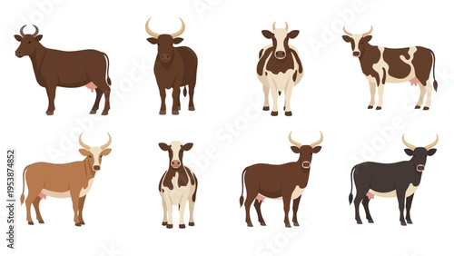 Set of Diverse Cow Breeds Illustrated in Flat Design