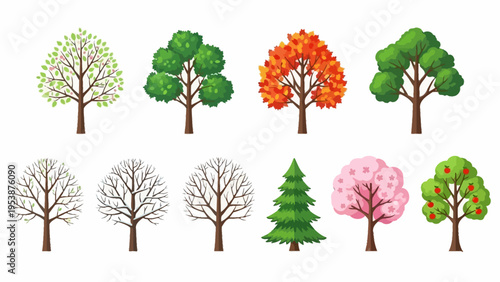 Set of Trees in Different Seasons and Types: Spring, Summer, Autumn, Winter