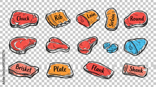 A vibrant collection of hand-drawn doodle style illustrations showcasing various prime cuts of beef, perfect for culinary food and meat concepts