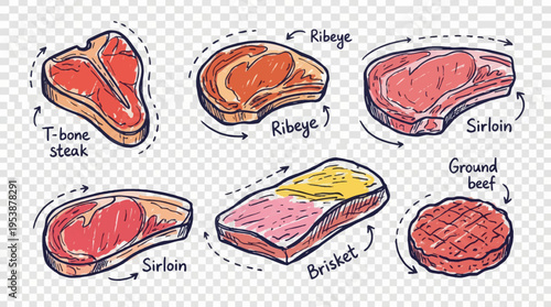A vibrant collection of hand-drawn beef cuts in a creative doodle style, showcasing various types of fresh red meat for culinary food preparation