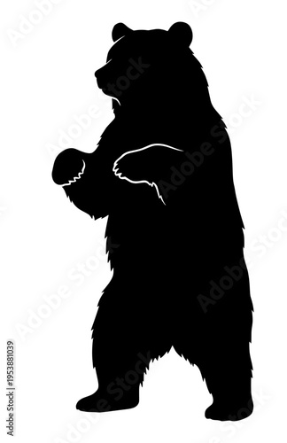 Wild grizzly bear standing on hind legs in silhouette for hunting and nature graphics