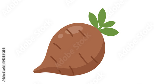 Cassava Root Vector Illustration, Flat Design, for Food and Agriculture
