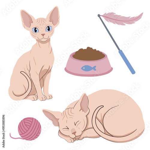 Sphynx Cat Vector Set for Seamless Patterns, Hairless Pink Kitty with Pet Accessories, Food Bowl, and Toys for Children’s Textiles