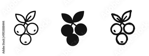 Berry fruit icon set with outline, solid, and hand-drawn styles. Bunch of fresh berries with leaves symbol.