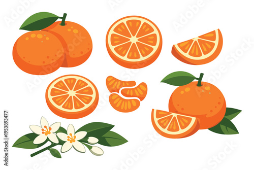 Citrus fruit collection featuring oranges, mandarins, slices, segments, and blossoms, symbolizing freshness, health, and natural vitamins