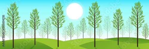 Summer landscape with trees and sunny sky banner vector illustration.