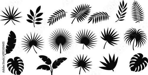 Tropical leaves silhouette collection with palm, monstera and botanical foliage set, exotic plant illustration isolated on white background for nature, decoration, summer and design use