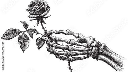 An illustration of a skeletal hand gracefully holding a rose, tattoo design template, vector illustration