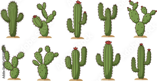 Various Cactus Plants Collection with Desert Succulents and Prickly Pear Cacti Flat Vector Illustration Set