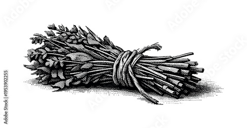 Close-up of a tied bundle of dried medicinal herbs resting on a flat surface, monochrome halftone dot pattern