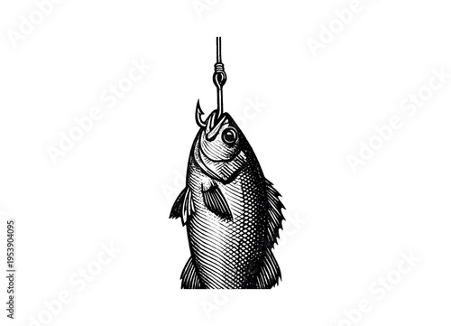 A single fish suspended on a hook at the end of a taut fishing line, composition slightly cropped by the frame