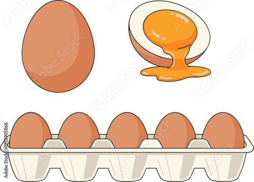 A collection of fresh brown chicken eggs including a carton and a cracked soft boiled egg half Vector, illustration
