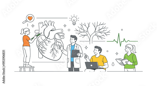 A scientific illustration concept where designers prepare educational visuals explaining the human cardiovascular system for textbooks and health communication projects, visual