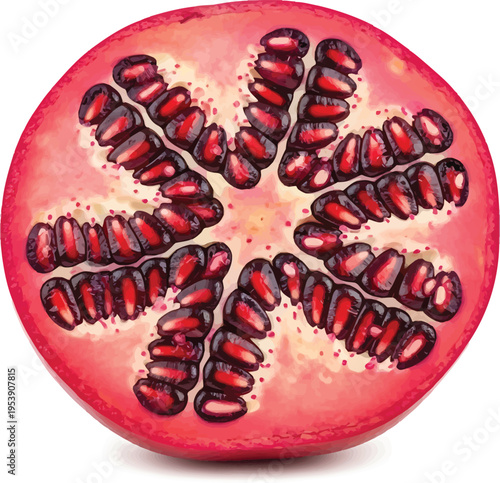 Pomegranate fruit cross-section with seeds, healthy food and nutrition, isolated on white background