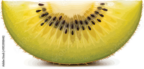 Fresh green kiwi fruit slice for food and healthy eating concepts, isolated on white background