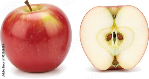 Whole and sliced red apple on white background
