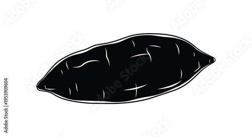A simple black and white line drawing depicts a single elongated sweet potato vegetable