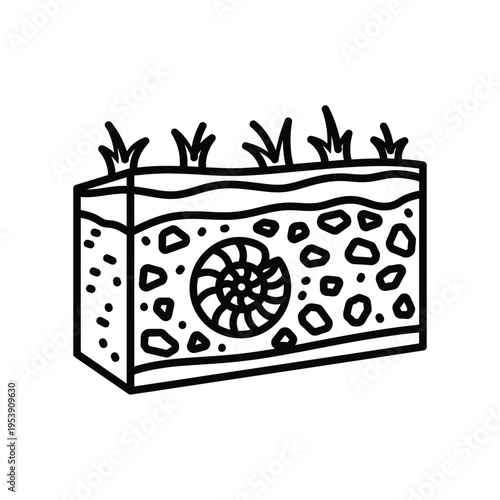 Fossil Layers Illustration Commercial