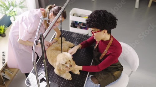 Two groomers work on a dog in a pet salon. One person bathes the dog while the other prepares tools. They focus on cleaning and grooming the pet during the busy day.