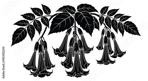 A striking black and white illustration depicts cascading datura flowers and foliage high quality professional detailed modern