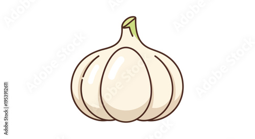 Garlic Vector Illustration, Healthy Food, Cooking Ingredient, Fresh Vegetable, White Background