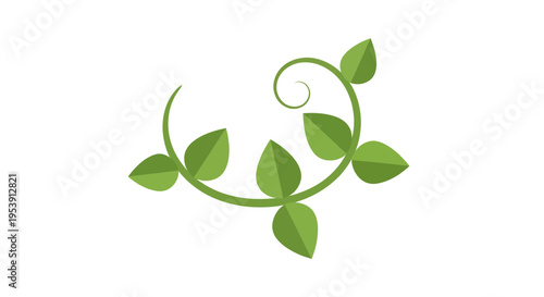 Green Vine Vector Illustration, Flat Design, Nature Element for Design Projects