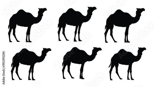 Silhouette collection of camels in various poses against a white background