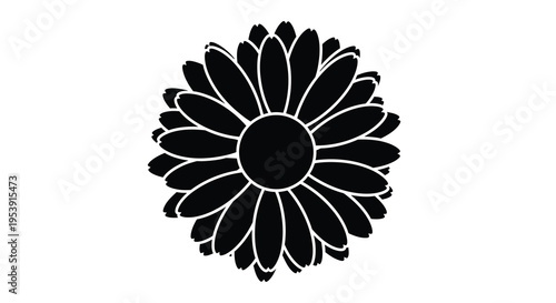 A striking black and white silhouette of a fully blossomed daisy flower is prominently displayed high quality