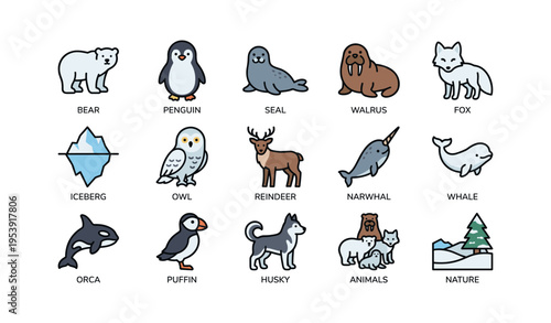 Cute arctic animals collection: bear, penguin, seal, walrus, fox, and more