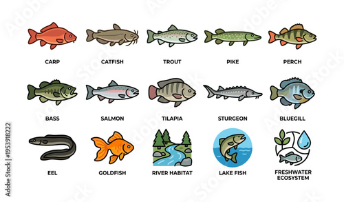Illustrated freshwater fish species and ecosystems with carp, catfish, trout, and salmon