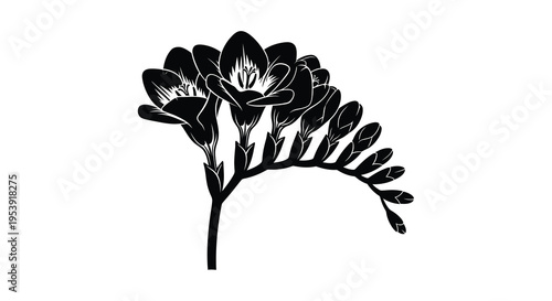 A striking black and white illustration depicts a delicate freesia flower stem with blooming buds