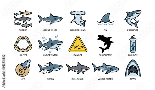 Shark icons collection: great white, hammerhead, bull shark, whale shark, shark silhouette