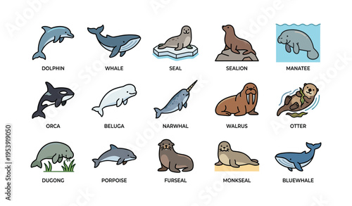 Illustrated marine mammals: dolphin, whale, seal, manatee, and more