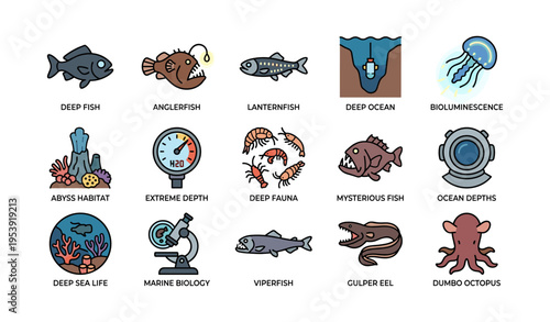 Deep sea creatures and marine biology concepts illustrated